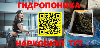 ГАЛЛЮЦИНОГЕННЫЕ ГРИБЫ Бийск