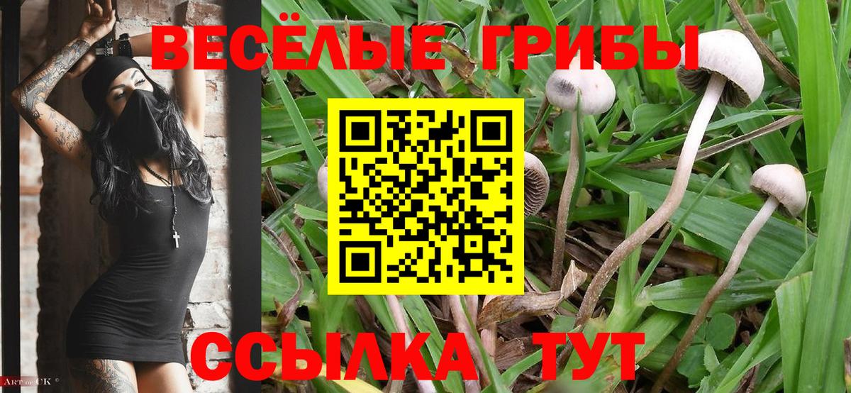 Псилоцибиновые грибы Cubensis  Вход с VPN  Джанкой 
