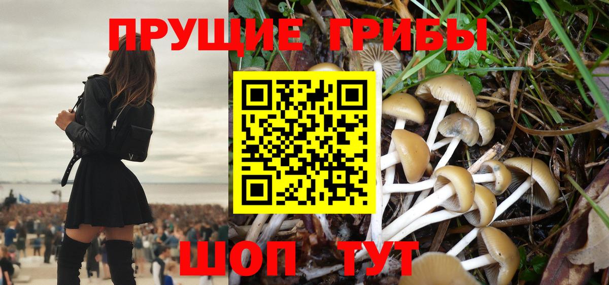 Галлюциногенные грибы мухоморы  Джанкой  продажа наркотиков  Галлюциногенные грибы GOLDEN TEACHER 