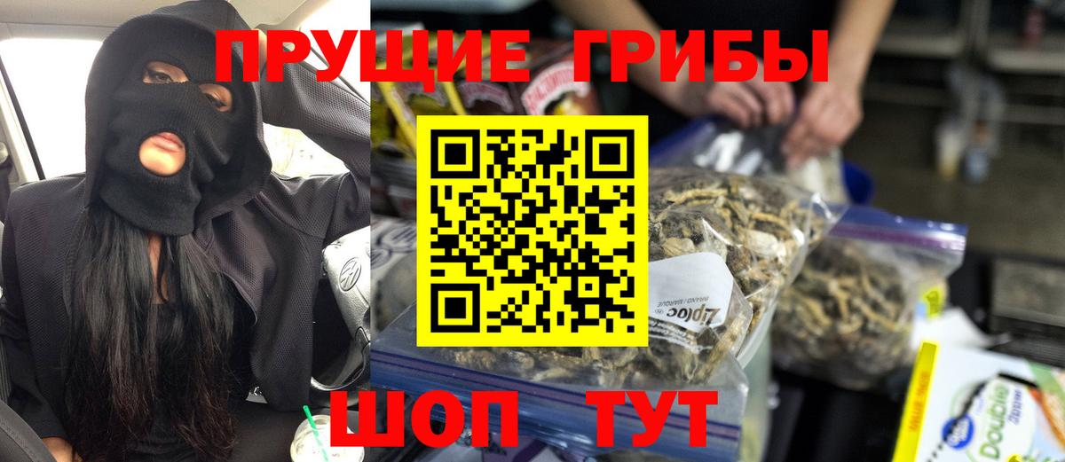Псилоцибиновые грибы прущие грибы Джанкой