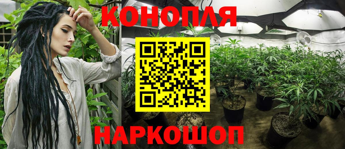 Конопля сатива  Бошки марихуана планчик  МАРИХУАНА индика  Джанкой  Шишки марихуана марихуана 